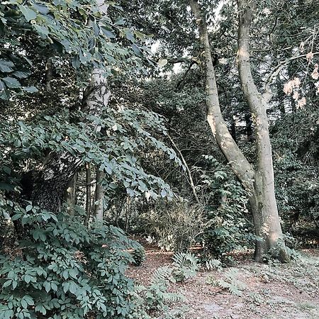 Voellige Ruhe Mitten In Der Natur Ringkobing Exterior photo