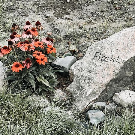 Voellige Ruhe Mitten In Der Natur Ringkobing Exterior photo