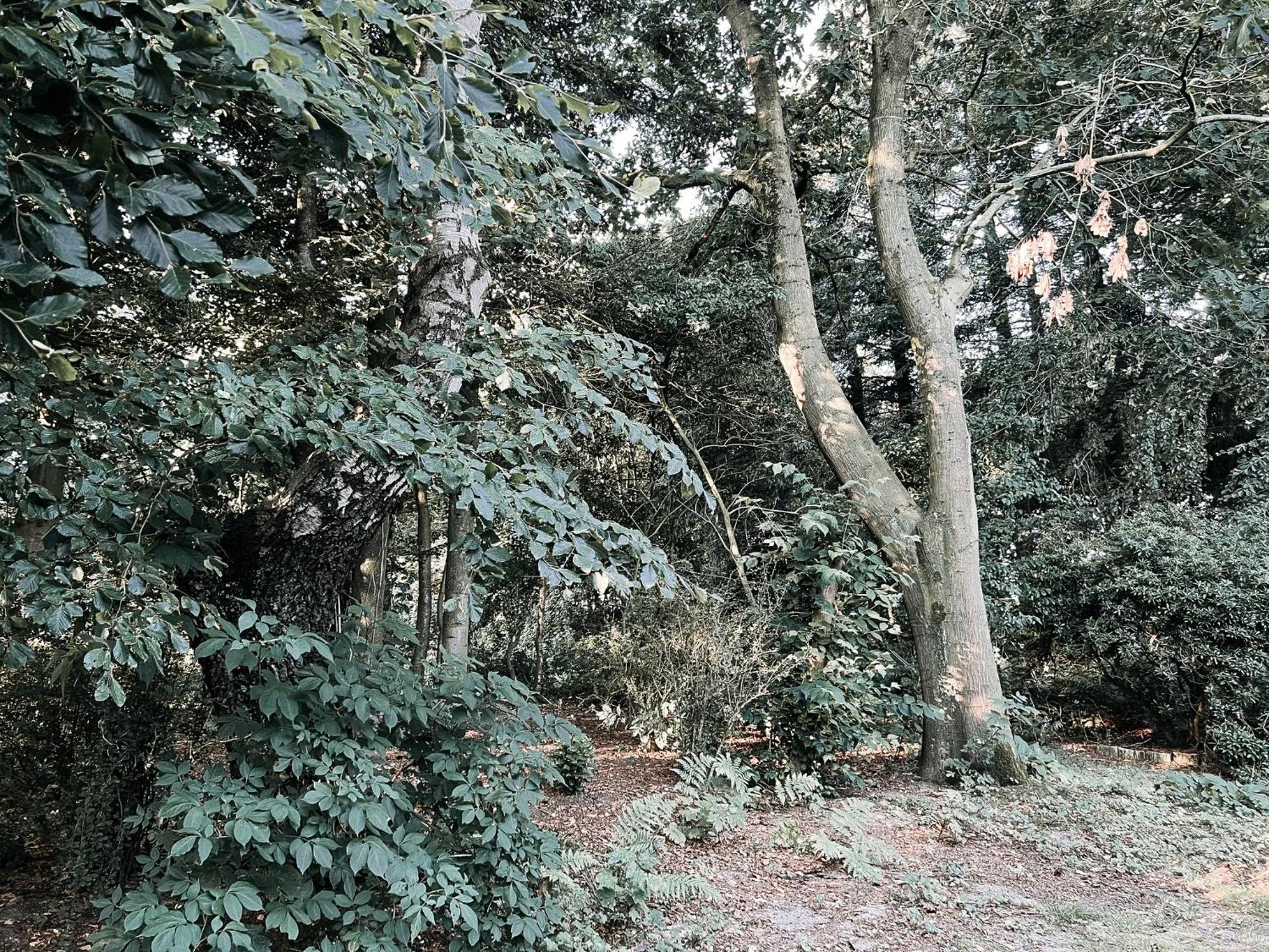 Voellige Ruhe Mitten In Der Natur Ringkobing Exterior photo