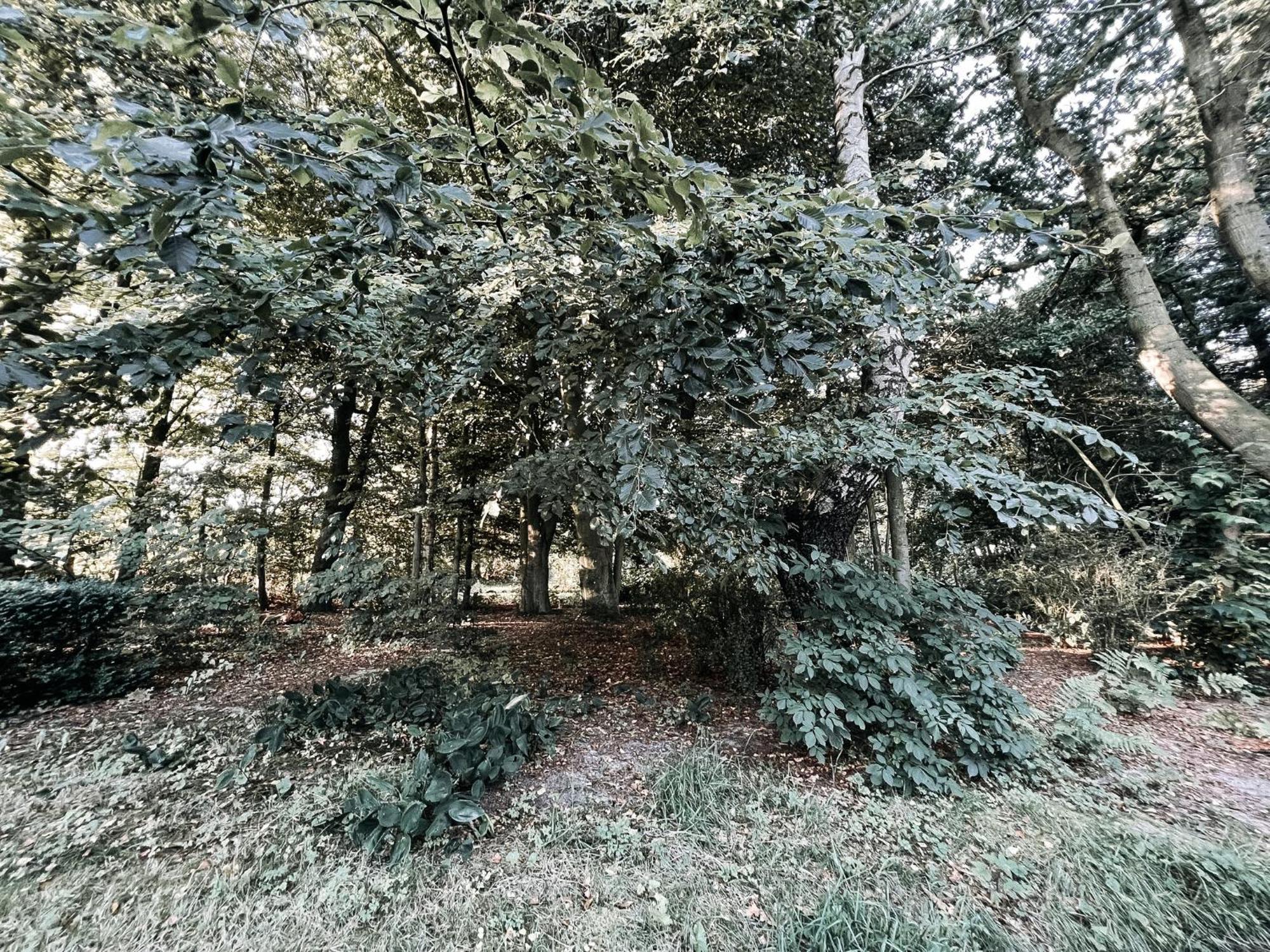 Voellige Ruhe Mitten In Der Natur Ringkobing Exterior photo